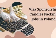 Visa Sponsorship Candies Packing Jobs in Poland