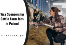 Visa Sponsorship Cattle Farm Jobs in Poland