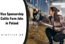 Visa Sponsorship Cattle Farm Jobs in Poland