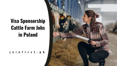 Visa Sponsorship Cattle Farm Jobs in Poland