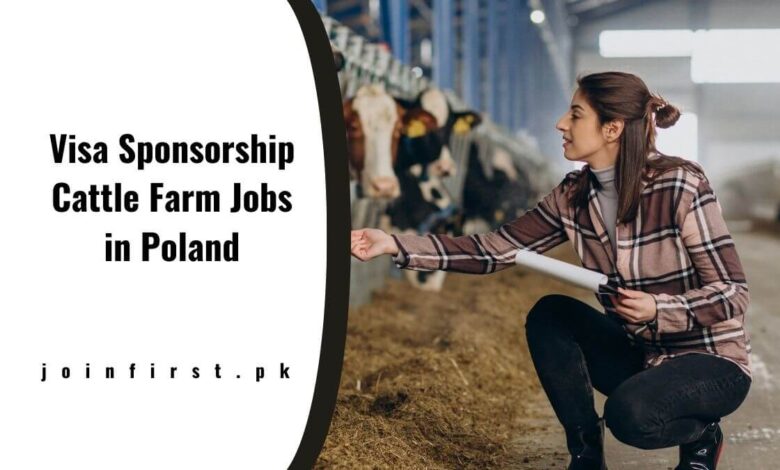 Visa Sponsorship Cattle Farm Jobs in Poland