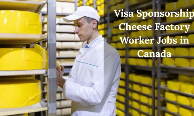 Visa Sponsorship Cheese Factory Worker Jobs in Canada