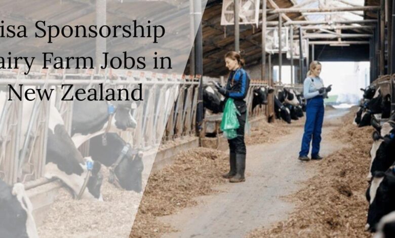 Visa Sponsorship Dairy Farm Jobs in New Zealand
