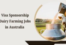 Visa Sponsorship Dairy Farming Jobs in Australia