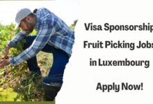 Visa Sponsorship Fruit Picking Jobs in Luxembourg