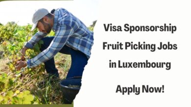 Visa Sponsorship Fruit Picking Jobs in Luxembourg