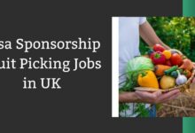 Visa Sponsorship Fruit Picking Jobs in UK