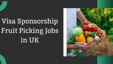 Visa Sponsorship Fruit Picking Jobs in UK