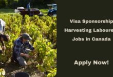 Visa Sponsorship Harvesting Labourers Jobs in Canada