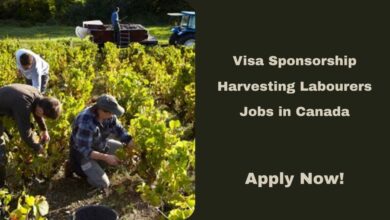 Visa Sponsorship Harvesting Labourers Jobs in Canada