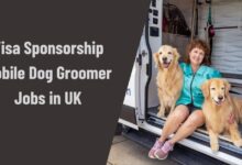 Visa Sponsorship Mobile Dog Groomer Jobs in UK