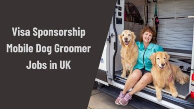 Visa Sponsorship Mobile Dog Groomer Jobs in UK