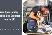 Visa Sponsorship Mobile Dog Groomer Jobs in UK