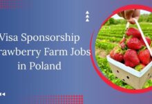 Visa Sponsorship Strawberry Farm Jobs in Poland