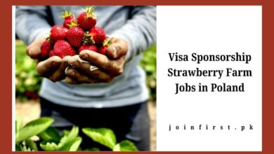 Visa Sponsorship Strawberry Farm Jobs in Poland