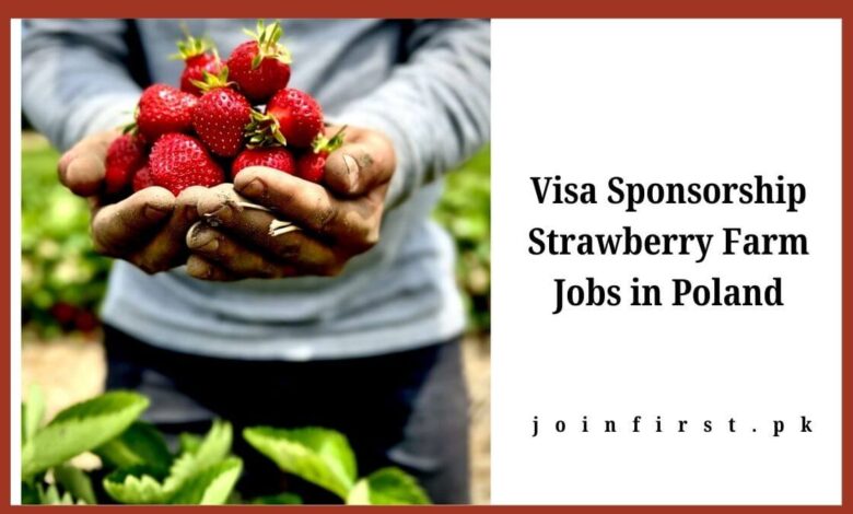 Visa Sponsorship Strawberry Farm Jobs in Poland