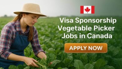 Visa Sponsorship Vegetable Picker Jobs in Canada