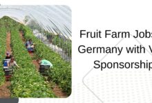 Fruit Farm Jobs in Germany with Visa Sponsorship