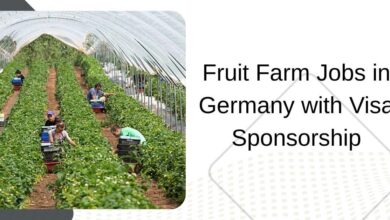 Fruit Farm Jobs in Germany with Visa Sponsorship