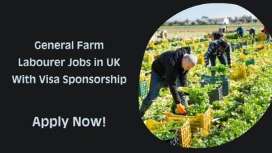 General Farm Labourer Jobs in UK With Visa Sponsorship