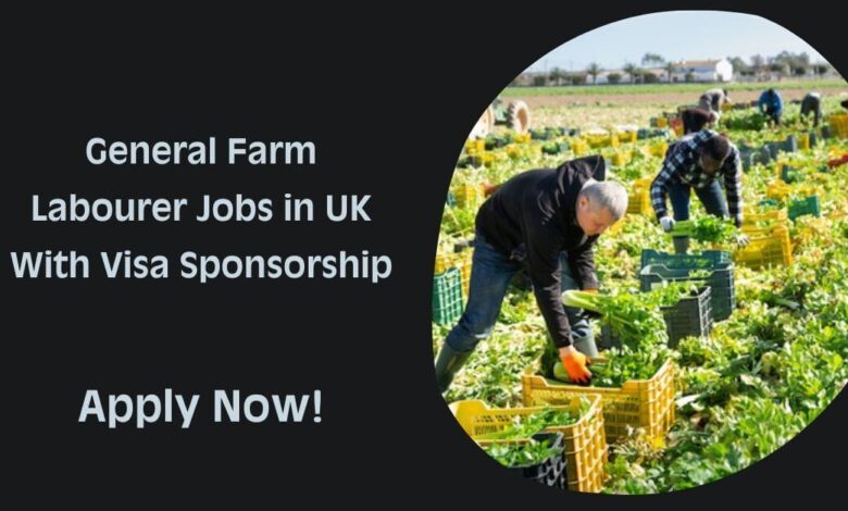 General Farm Labourer Jobs in UK With Visa Sponsorship