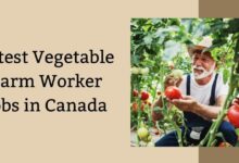 Latest Vegetable Farm Worker Jobs in Canada