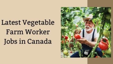 Latest Vegetable Farm Worker Jobs in Canada