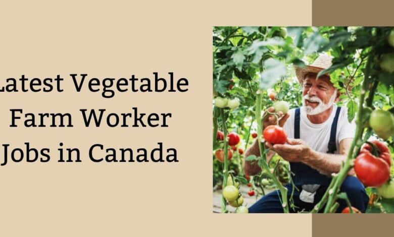 Latest Vegetable Farm Worker Jobs in Canada