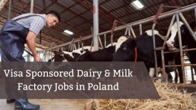 Visa Sponsored Dairy & Milk Factory Jobs in Poland
