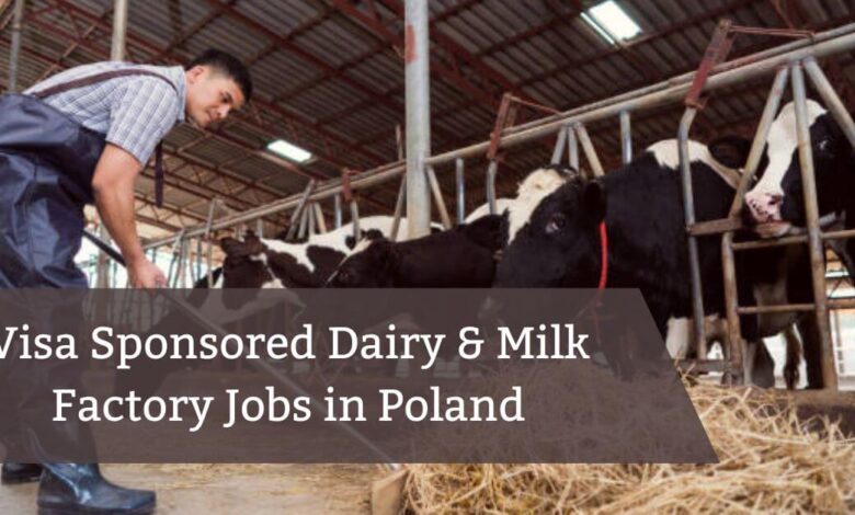 Visa Sponsored Dairy & Milk Factory Jobs in Poland