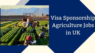 Visa Sponsorship Agriculture Jobs in UK