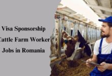 Visa Sponsorship Cattle Farm Worker Jobs in Romania