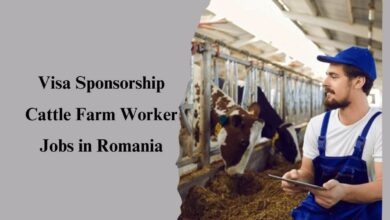 Visa Sponsorship Cattle Farm Worker Jobs in Romania