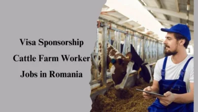 Visa Sponsorship Cattle Farm Worker Jobs in Romania