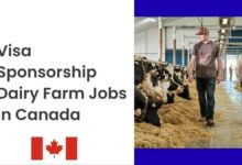 Visa Sponsorship Dairy Farm Jobs in Canada