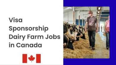 Visa Sponsorship Dairy Farm Jobs in Canada