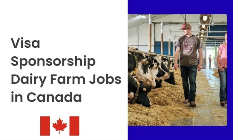 Visa Sponsorship Dairy Farm Jobs in Canada
