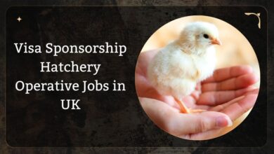 Visa Sponsorship Hatchery Operative Jobs in UK