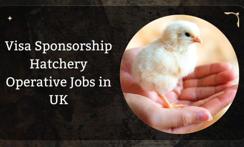 Visa Sponsorship Hatchery Operative Jobs in UK