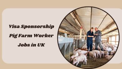 Visa Sponsorship Pig Farm Worker Jobs in UK