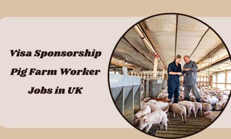 Visa Sponsorship Pig Farm Worker Jobs in UK