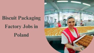 Biscuit Packaging Factory Jobs in Poland