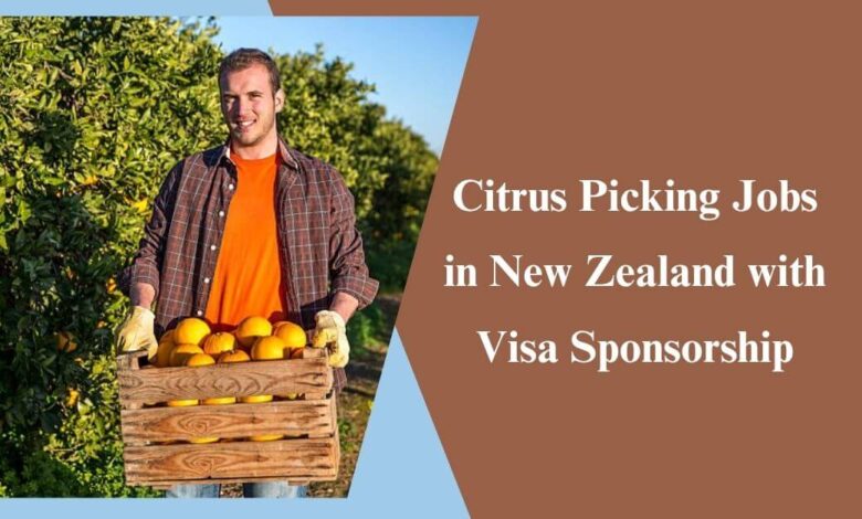 Citrus Picking Jobs in New Zealand with Visa Sponsorship