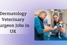 Dermatology Veterinary Surgeon Jobs in UK