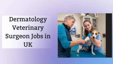 Dermatology Veterinary Surgeon Jobs in UK