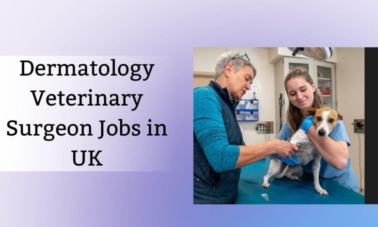 Dermatology Veterinary Surgeon Jobs in UK