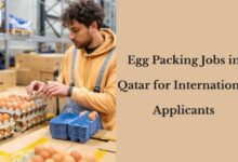 Egg Packing Jobs in Qatar for International Applicants