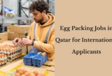 Egg Packing Jobs in Qatar for International Applicants