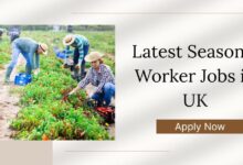 Latest Seasonal Worker Jobs in UK
