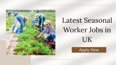 Latest Seasonal Worker Jobs in UK